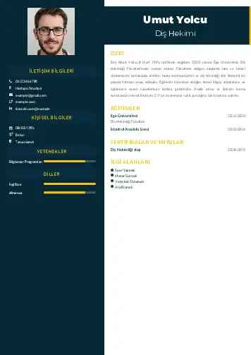 Diş Hekimi cv indir